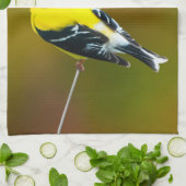 American Goldfinch - Originalfotografie Geschirrtuch (Gefaltet)