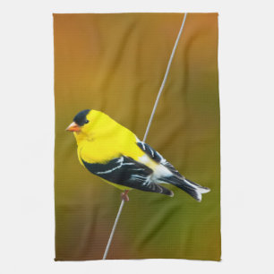 American Goldfinch - Originalfotografie Geschirrtuch