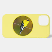 American Goldfinch - Originalfotografie iPhone Hülle (Rückseite (Horizontal))