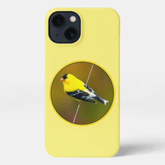 American Goldfinch - Originalfotografie iPhone Hülle (Rückseite)