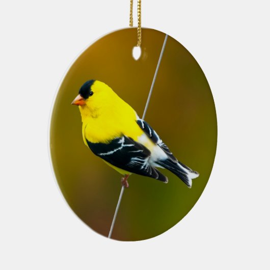 American Goldfinch - Originalfotografie Keramik Ornament (Rechts)