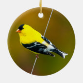 American Goldfinch - Originalfotografie Keramik Ornament (Hinten)