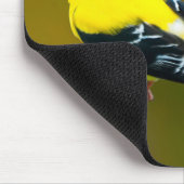 American Goldfinch - Originalfotografie Mousepad (Ecke)
