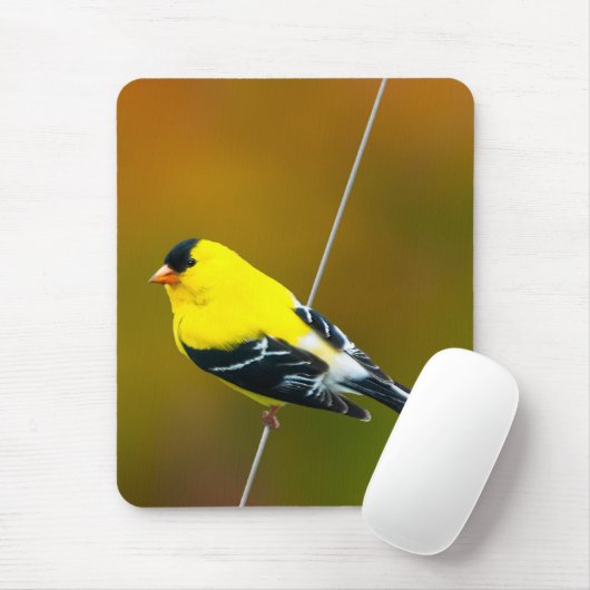 American Goldfinch - Originalfotografie Mousepad (Mit Mouse)
