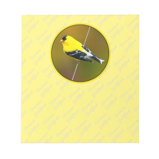 American Goldfinch - Originalfotografie Notizblock (Vorderseite)