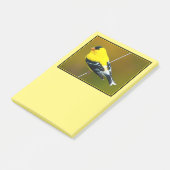 American Goldfinch - Originalfotografie Post-it Klebezettel (angewinkelt)