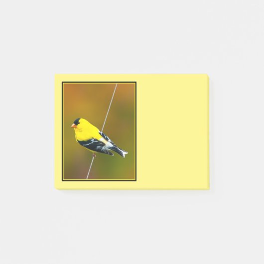 American Goldfinch - Originalfotografie Post-it Klebezettel (Vorderseite)