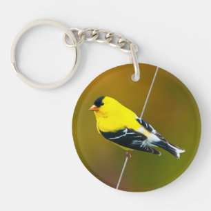 American Goldfinch - Originalfotografie Schlüsselanhänger