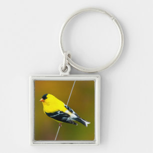 American Goldfinch - Originalfotografie Schlüsselanhänger