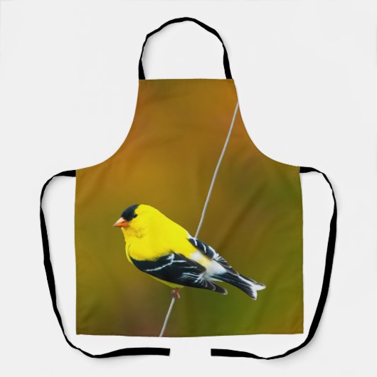 American Goldfinch - Originalfotografie Schürze (Vorderseite)
