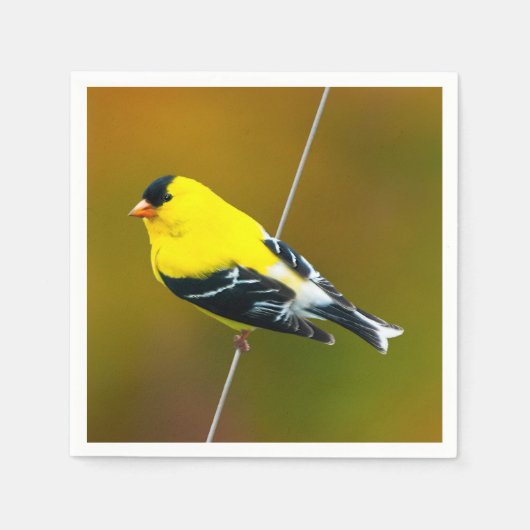 American Goldfinch - Originalfotografie Serviette (Vorderseite)