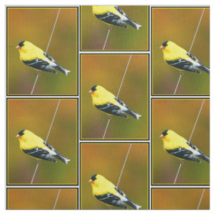 American Goldfinch - Originalfotografie Stoff