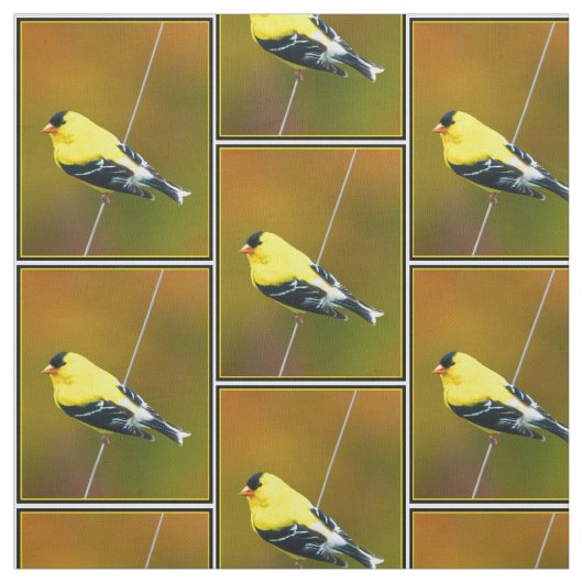 American Goldfinch - Originalfotografie Stoff (Muster)