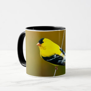 American Goldfinch - Originalfotografie Tasse