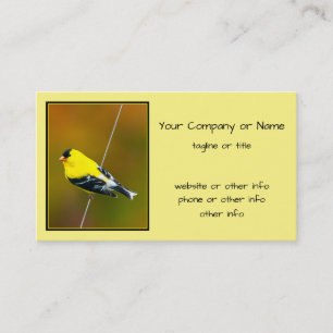 American Goldfinch - Originalfotografie Visitenkarte