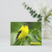 American Goldfinch Postcard Postkarte (Stehend Vorderseite)