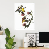 American Goldfinch Poster (Heimbüro)
