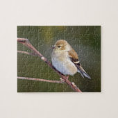 American Goldfinch Puzzle (Horizontal)