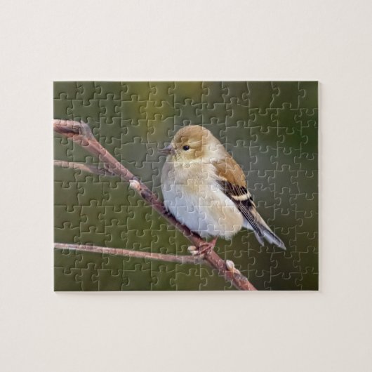 American Goldfinch Puzzle (Horizontal)