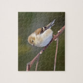 American Goldfinch Puzzle (Vertikal)