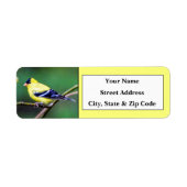 American Goldfinch Rücksendeadressen-Aufkleber (Vorne)