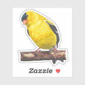 American Goldfinch Sticker (Blatt)
