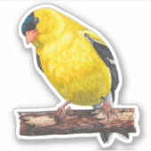 American Goldfinch Sticker (Vorderseite)