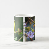 American Goldfinch Tasse von BirdingCollectibles (Mittel)