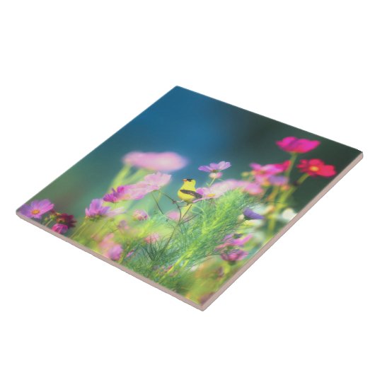 American Goldfinch und Coreopsis Fliese (Seite)