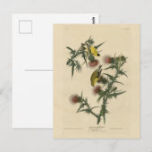 American Goldfinch von Audubons Vögeln in Amerika Postkarte (Vorne/Hinten)