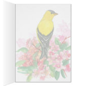 American Goldfinch Washington Staat Bird Blank (Innen (Rechts))