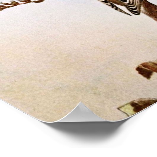 American Goldfinchs Bird Illustration Poster (Ecke)