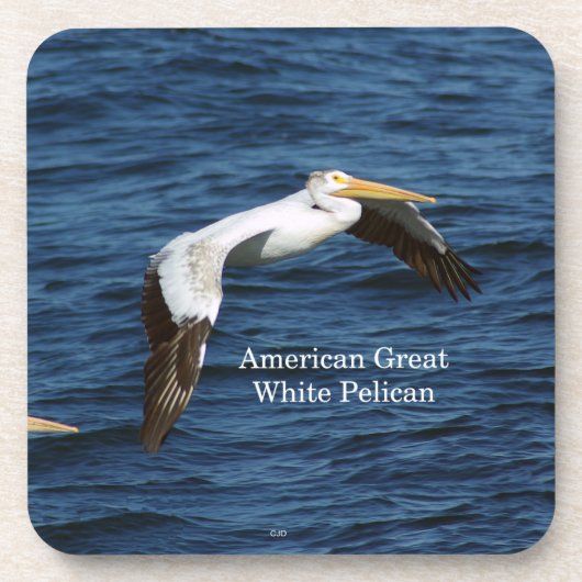 American Great White Pelican 6 Plastic Untersetzer (Vorderseite)