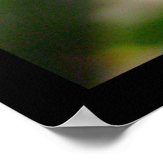 American Green Tree Frog Poster (Ecke)