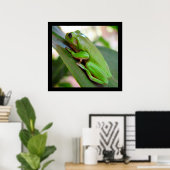 American Green Tree Frog Poster (Heimbüro)