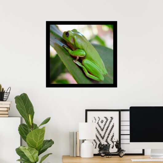 American Green Tree Frog Poster (Heimbüro)
