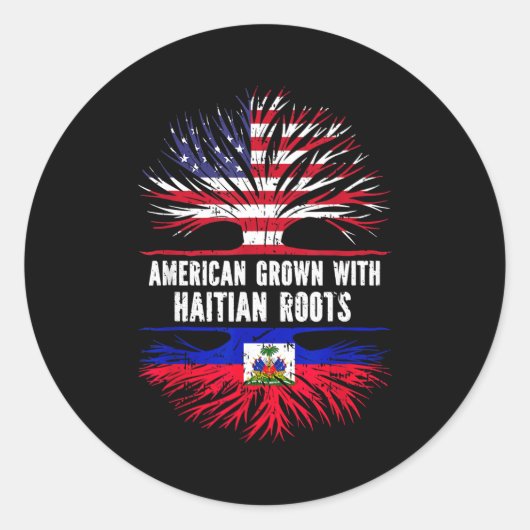 American Grown With Haitian Roots Usa Flag Haiti Runder Aufkleber (Vorderseite)