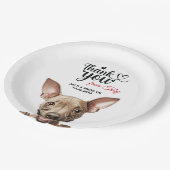 American Hairless Terrier Pappteller (Schrägansicht)