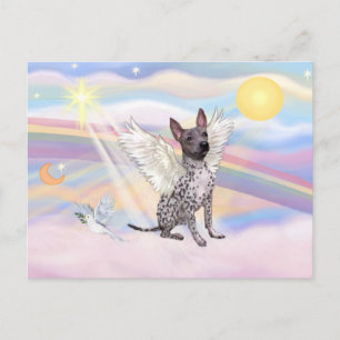 American Hairless Terrier Postkarte