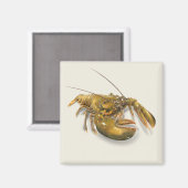 American Hummer Magnet (Vorderseite/Rückseite)