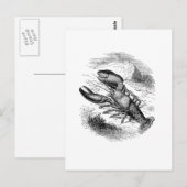 American Hummer Postkarte (Vorne/Hinten)