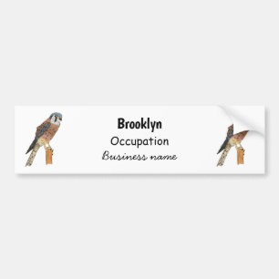 American Kestrel bird illustration Autoaufkleber