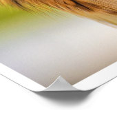 American Kestrel Falcon Portrait Wildlife Print Poster (Ecke)