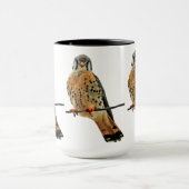 American Kestrel Falcon Tasse (Zentrum)