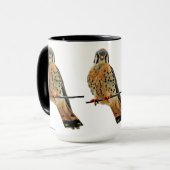 American Kestrel Falcon Tasse (Vorderseite Links)