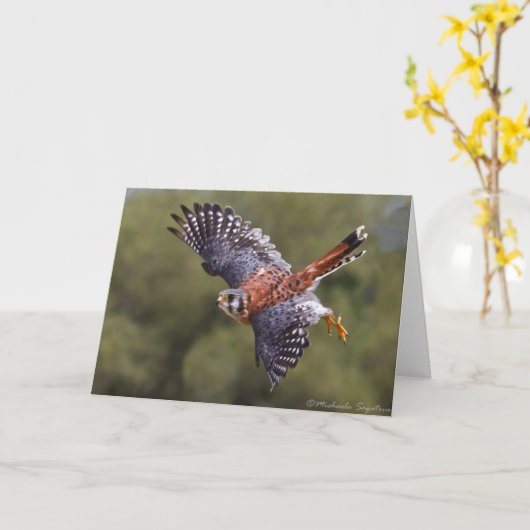 American Kestrel Karte (Gelbe Blume)