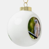 American Kestrel Keramik Kugel-Ornament (Links)