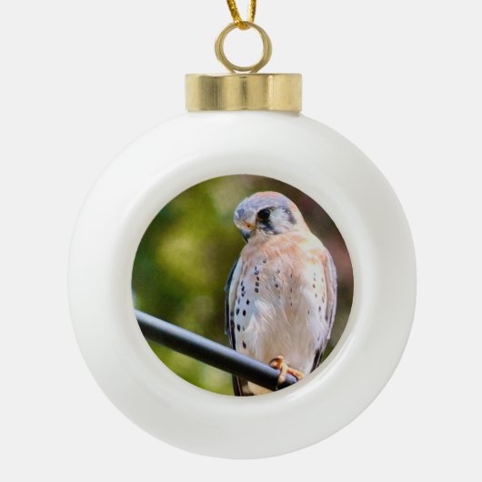 American Kestrel Keramik Kugel-Ornament (Vorderseite)