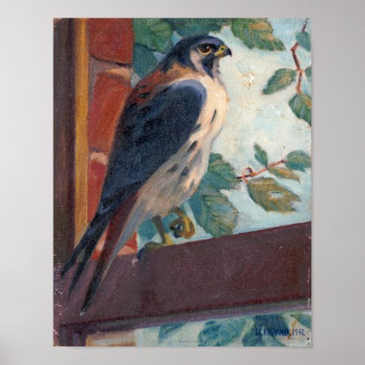 American Kestrel - Kulhanek Wildlife (1942) Poster (Vorne)