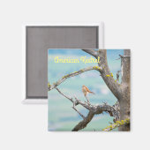 American Kestrel Magnet (Vorderseite/Rückseite)